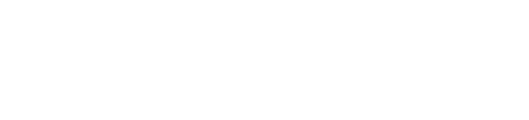 WatchGuard ONE Partner